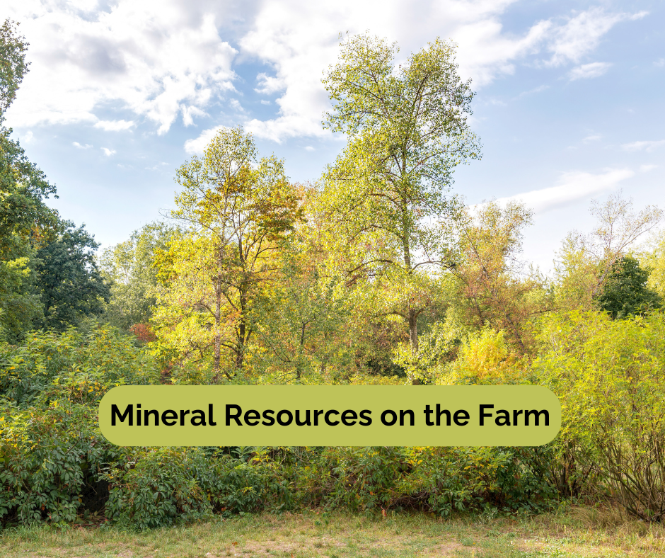 Natural mineral sources for livestock on the farm