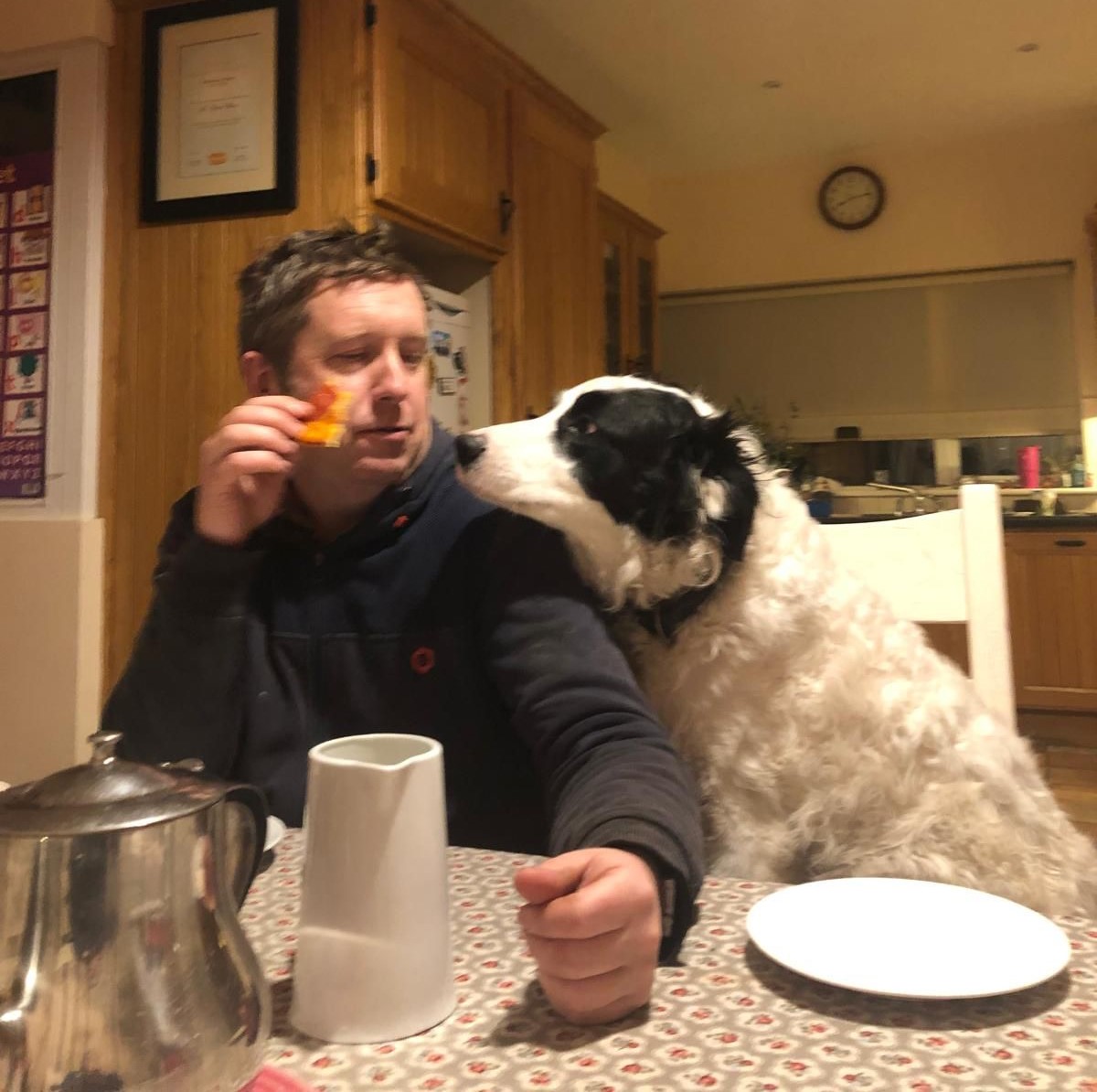 Holistic and behavioural support pays dividends for retired working dogs.